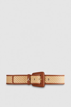 Patrizia Pepe High Waist Fabric Belt Barna | OFWIX7184