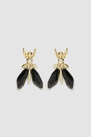 Patrizia Pepe Precious Fly Earrings With Stones Fekete | GTWAR7569